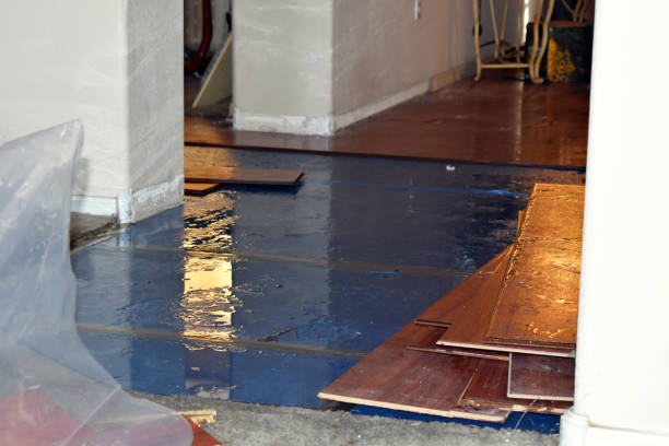 Professional Water Damage Restoration technician working in Islamorada, FL